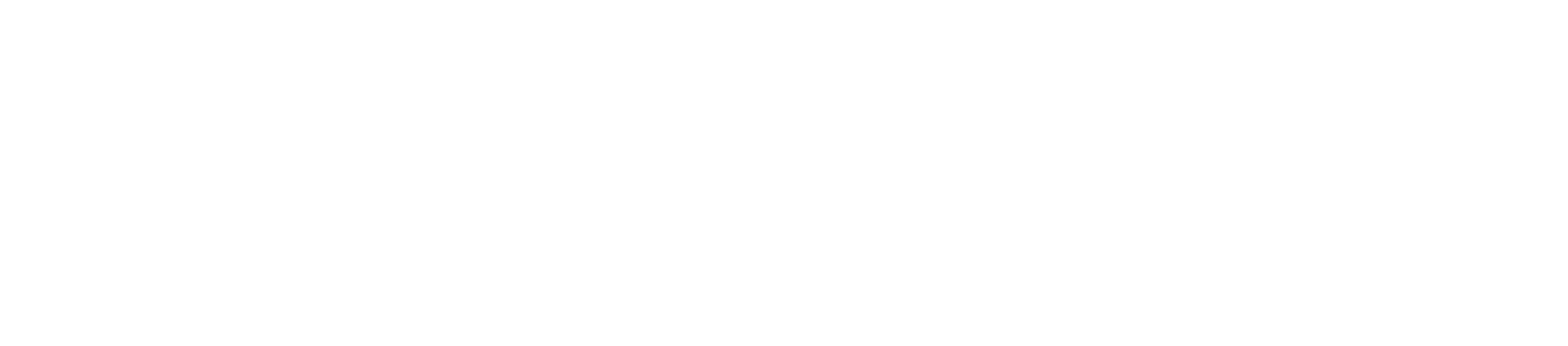 Nouê Estrelas